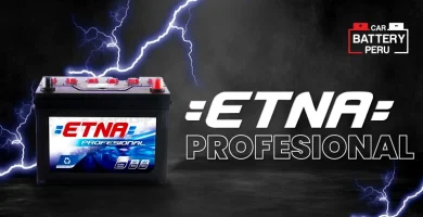 ETNA profesional